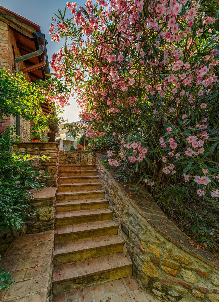 Agriturismo Casanova Di Pescille Σαν Τζιμινιάνο Εξωτερικό φωτογραφία